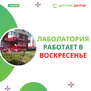 Работа лаборатории по воскресеньям
